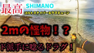 【怪物】今日も2mのマグロ！？怪物と勝負してきたった