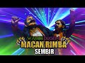 Spektakuler !! Warok Dugem MRS MACAN RIMBA SEMBIR Live Perform Klegen Grabag Magelang