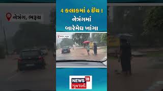 Bharuch News : 4 કલાકમાં 6 ઈંચ ! નેત્રંગમાં બારે મેઘ ખાંગા | Rain Update | Gujarati News | N18V