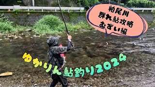 2024.7.12栃木県鹿沼市粕尾川群れ鮎攻略難しい。地元の激芯会メンバーにお話伺う編