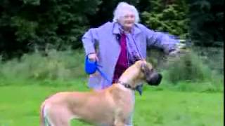 Grandma Gets Pulled By Dog (FUNNY)