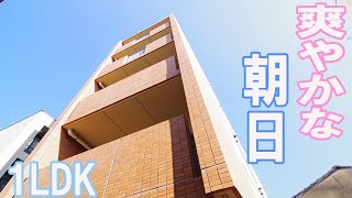 男の一人暮らし オシャレな空間朝日の入る１LDK賃貸マンション