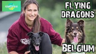 Flyball \u0026 Friends - Evi Blockmans