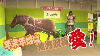 有馬記念＆ホープフルSのあとは地方競馬愛！天童なこ＆稲富菜穂-netkeiba.com