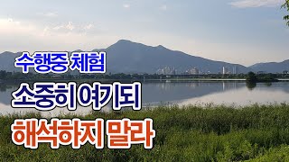 781. 수행 중 체험. 소중히 간직하되 해석하려 하지 말라