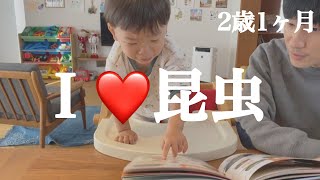 昆虫好き！朝から図鑑を読む2歳0ヶ月の男の子