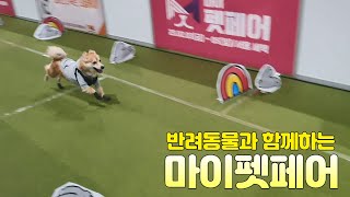 2023 마이펫페어에 가다🐶