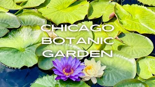 CHICAGO BOTANIC GARDEN | Walking Tour | Japanese Garden | Illinois