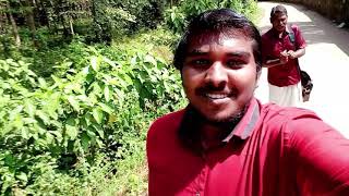 Thirparapu Water falls | Tourist Attraction | Kanyakumari | waterfalls | kumari Courtrallam