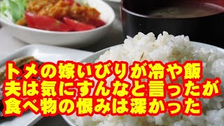 トメの嫁いびりで「嫁はこれでも食ってろやｗｗｗ」と毎食冷や飯を出された。夫に「気にすんな」と言われたが、やっぱり食べ物の恨みは深かった。