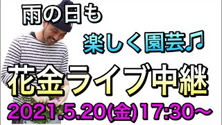 明日は花いっぱいの【花金】