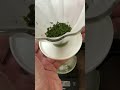 【週も後半！金曜日の朝】モーニング煎茶🍵