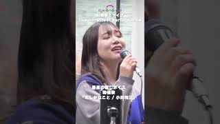 和佳奈/WAKANA『たしかなこと / 小田和正』最上級の癒しボイス