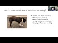 Spinal cord issues in dogs and cats presented by Drs. Alistair McVey & Susan Arnold - VMC AHES