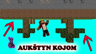 MINECRAFT AUKŠTYN KOJOM?!