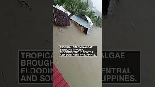 Home washed away in the Philippines by Tropical Storm Nalgae’s flooding