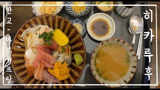 [맛집 Vlog 브이로그] 판교 아브뉴프랑에 괜찮은 카이센동 집이 있어서 소개해요 ^^ - 히카루후 리뷰