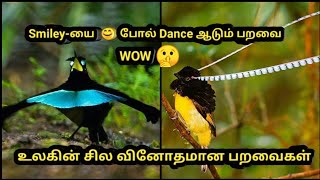 உலகின் சில வினோதமான பறவைகள் || 5 Most unique birds in the world