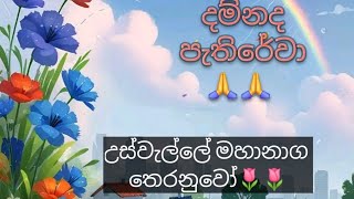 සත්පුරුෂ ඇසුරේ වටිනාකම උස්වැල්ලේ මහානාග තෙරණුවෝ🙏🙏🪷🪷