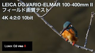 LEICA DG VARIO-ELMAR 100-400mm II動画初心者のフィールド画質テスト