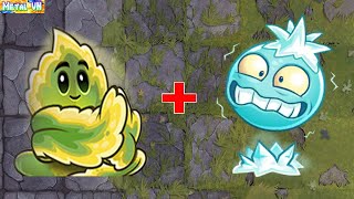 挽植物大戰僵尸2 | Super Plants Max Power Up  [ ICECURRANT vs SOLAR SAGE ]