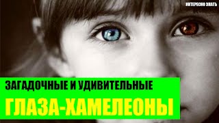 Загадочные и удивительно красивые глаза-хамелеоны