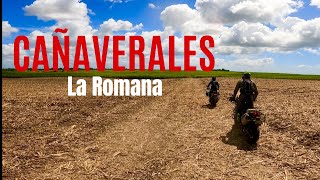 CAÑAVERALES DE LA ROMANA - RIDE DIVERTIDO Y RÁPIDO - CON FOTOGRAFOENMOTO Y DELSON