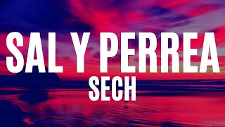 Sech - Sal y Perrea (Letra/Lyrics)