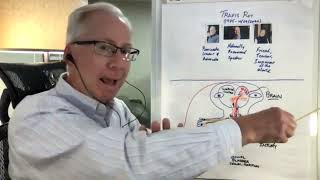 SCI Awareness Month '22: Jeffrey Macklis, MD, DScTech