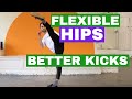 10 EXERCISES TO OPEN and STRENGTHEN HIPS for KICKS (follow along)