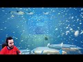 ce jeu est une masterclass abzu