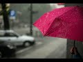 🌧️♥️Rain whatsapp status video | Rain video | Rainy day | Relaxing video | Rain short video🌧️♥️