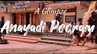 Anayadi Pooram 2023 |  Short Cinematic video | Kerala Temple Festival