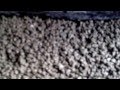 Perlite cement mix used on elite woodfired pizza oven build Perlite cement mix used on elite woodfired pizza oven build