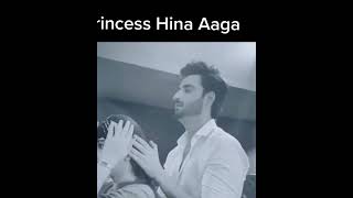Agha Ali making Hina hair
