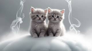 Music as two adorable kittens float peacefully **