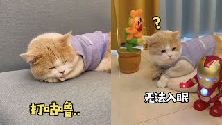 【一隻又廷🐱】看來今晚又是一個不眠夜…