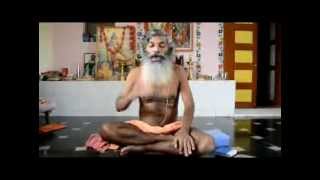 amsha panchikarana sri sridar dixit swamiji by dr.dixit