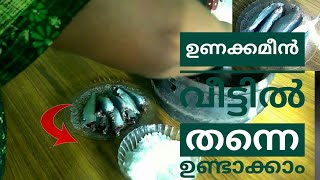 ഈസി ആയി ഉണക്കമീൻ വീട്ടിൽ ഉണ്ടാക്കാം | Unakkameen Malayalam | Making Unakkameen at home