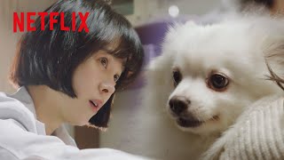 獣医の超能力でわかる、愛犬たちの気持ち | ヒップタッチの女王 | Netflix Japan