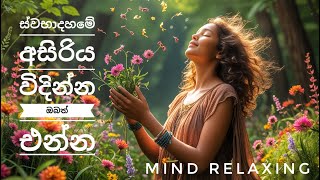 ස්වභාව දහමේ සුන්දරත්වය | මනස නිවන රහස් | දිනපතා සවන් දෙන්න 🌿 | Nature Meditation