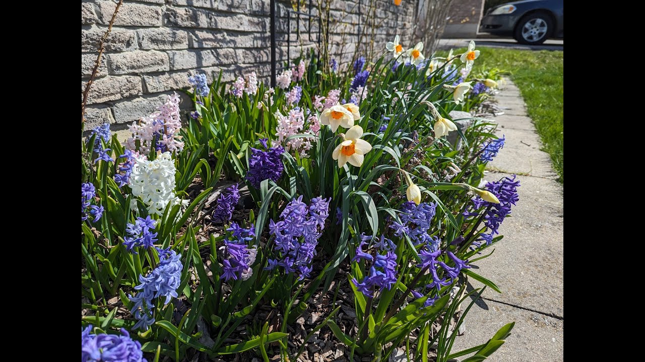 Spring Garden Tour Youtube