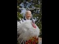 Pardoning of the National Turkey at the White House