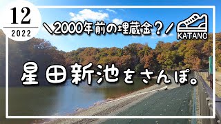 【交野】2000年前の埋蔵金？星田新池をさんぽ。【散歩】