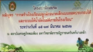 ปลูกป่า 5 ระดับ