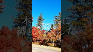 岡山県総社市『涙ねずみ』 #ランチパーク岡山 #紅葉狩り