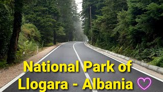 Llogara Panoramic View | National Park of Llogara - Vlora, Albania #llogarapass #traveltime #albania