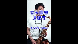 春天哪會這呢寒 - 洪榮宏 (Saxophone Cover 孫維廷) Live Version