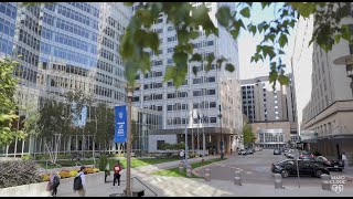 Mayo Clinic College of Medicine and Science: Rochester Experience