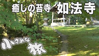 緑がいっぱい！癒やしの苔寺 大洲如法寺｜小さめな旅（176）｜2023.05.03/Full of greenery! Healing moss temple Ozu Nyohoji